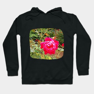 Pink flower photography Hoodie